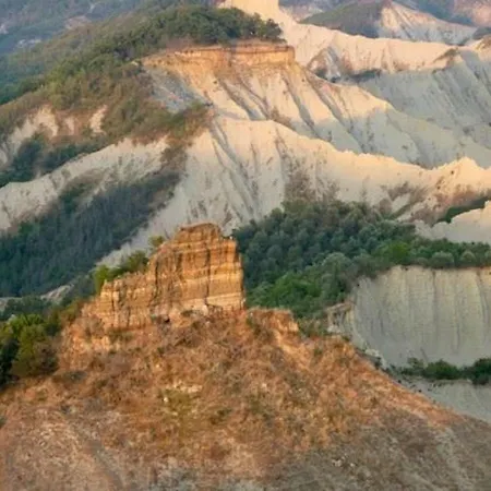 Barbaroux